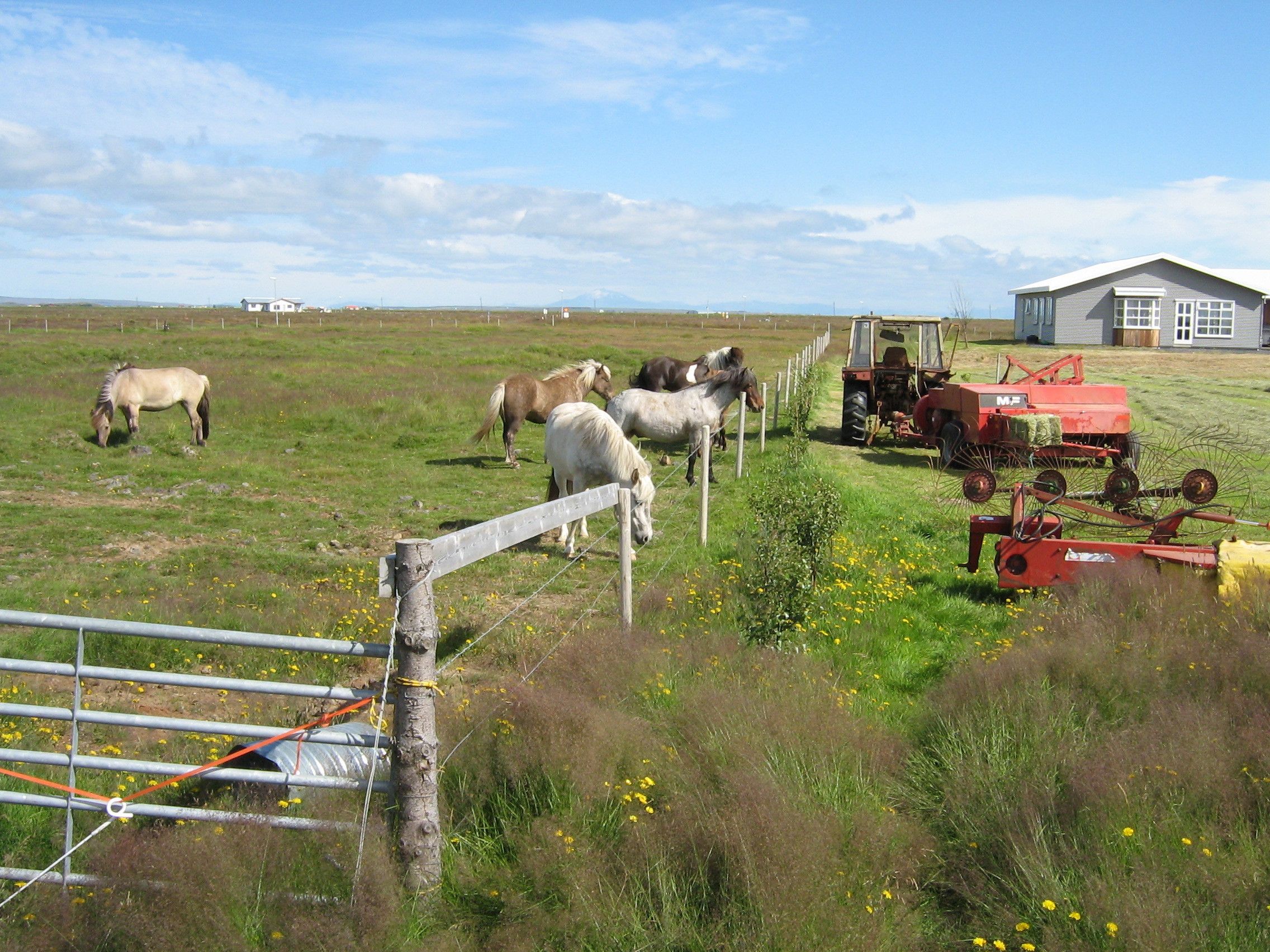 Maria Lovisa Guesthouse