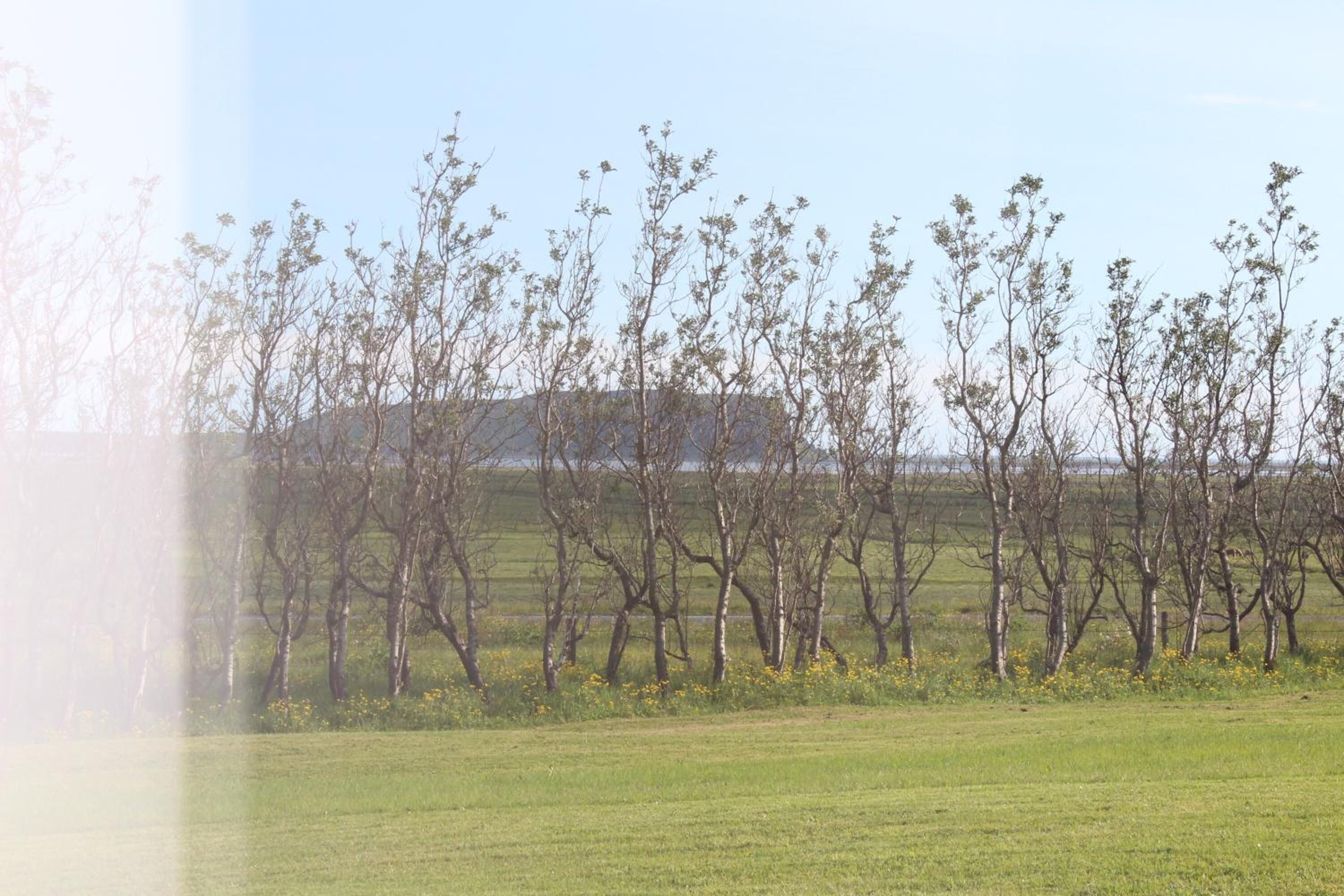 Skammidalur Guesthouse