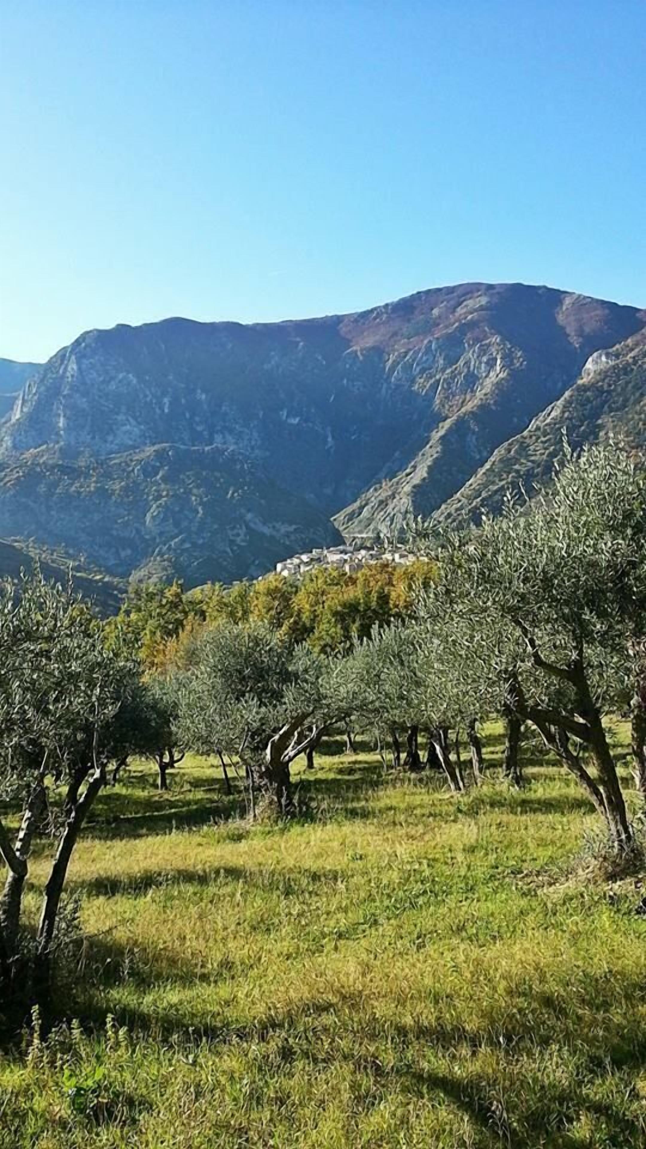 Bioagriturismo Sofia
