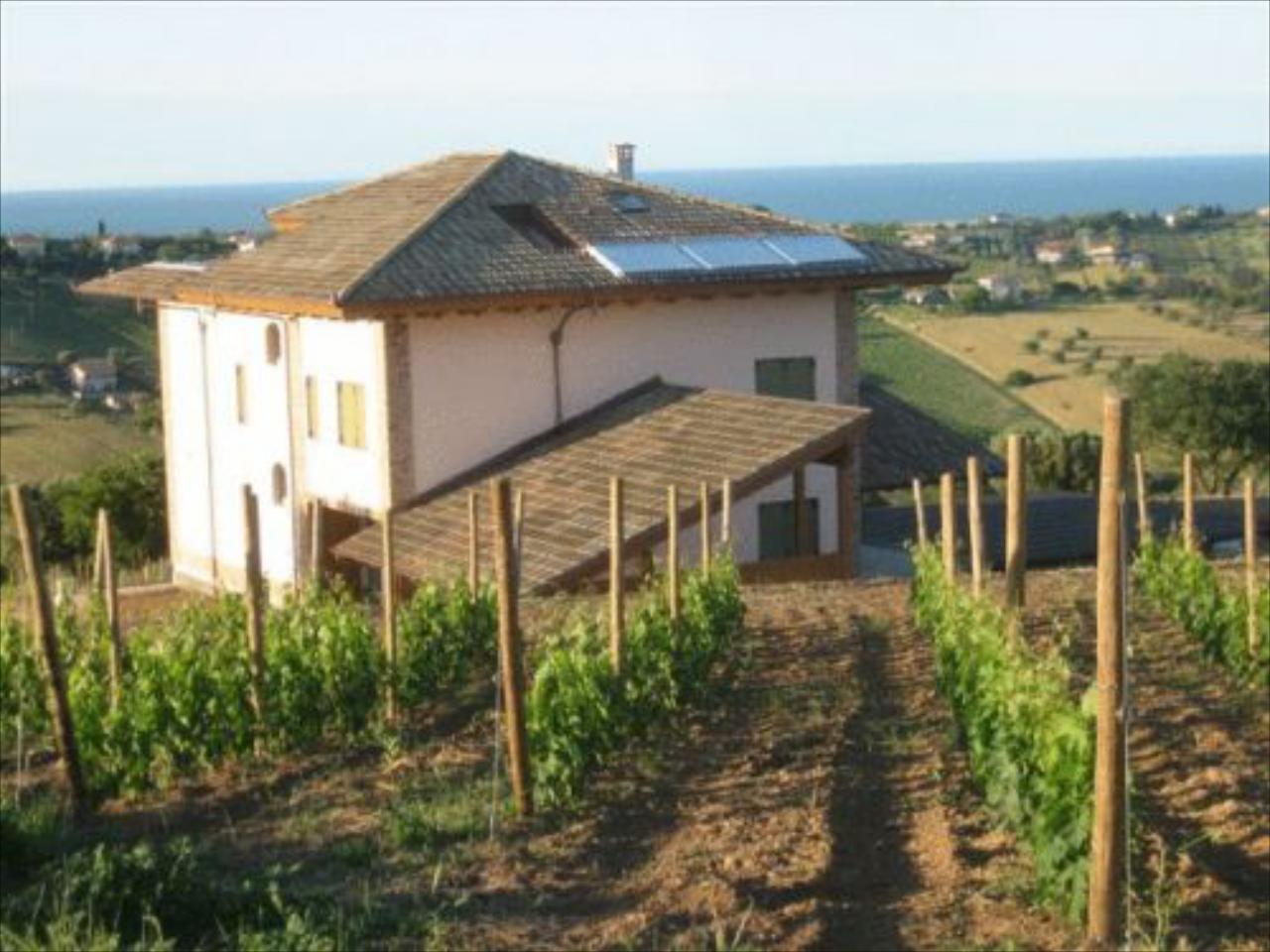 L'Orso e L'Ape B&B
