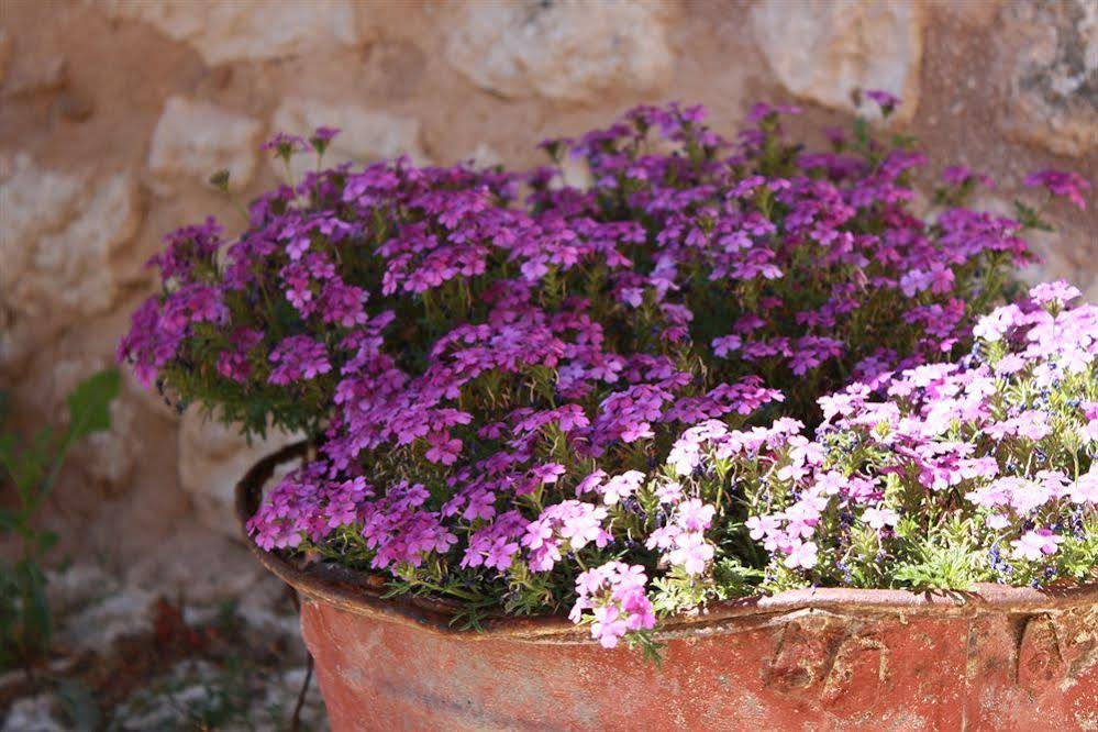 La Casa Su Le Dimore del Borgo
