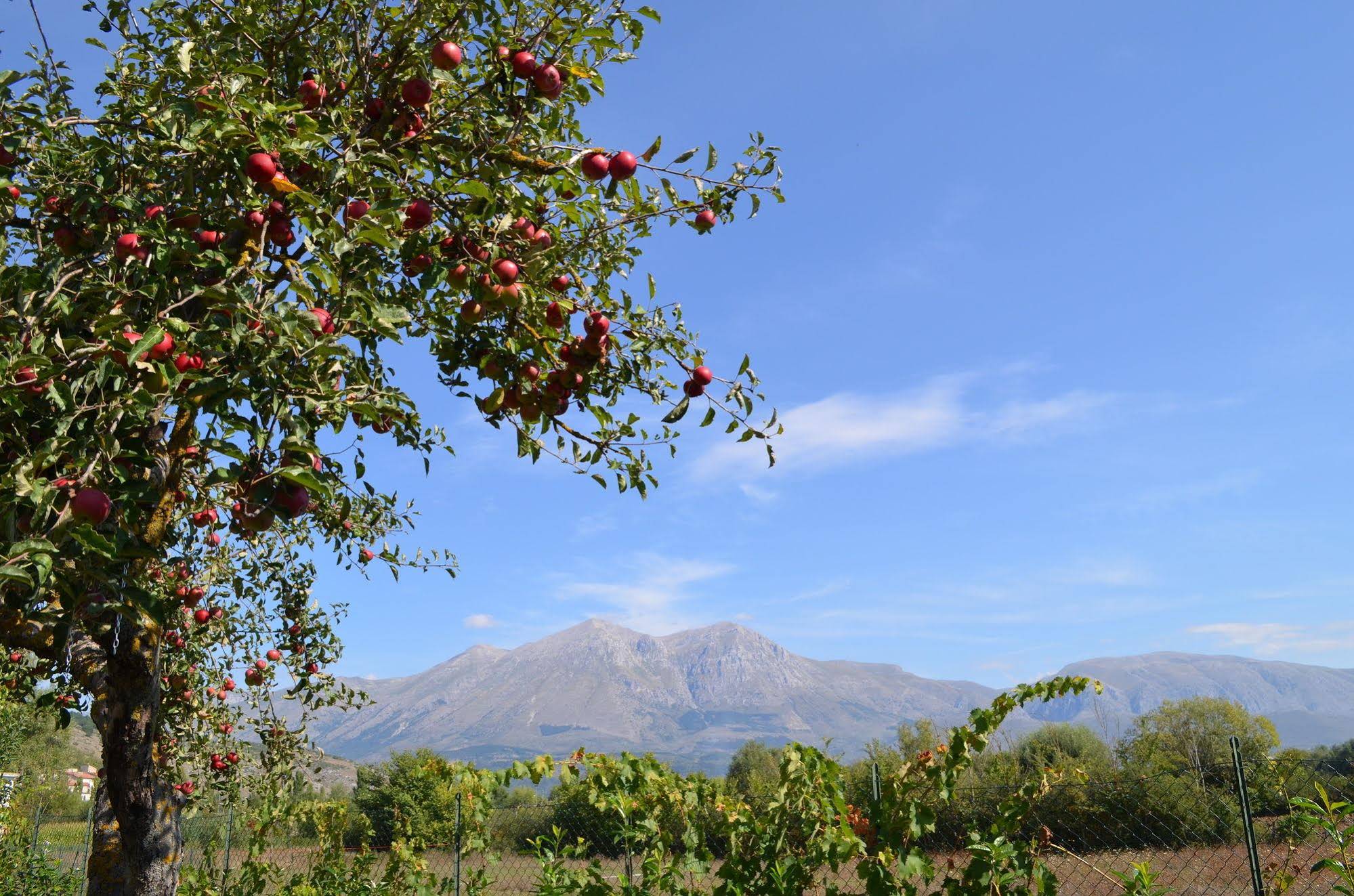 Villa Palentina Country House