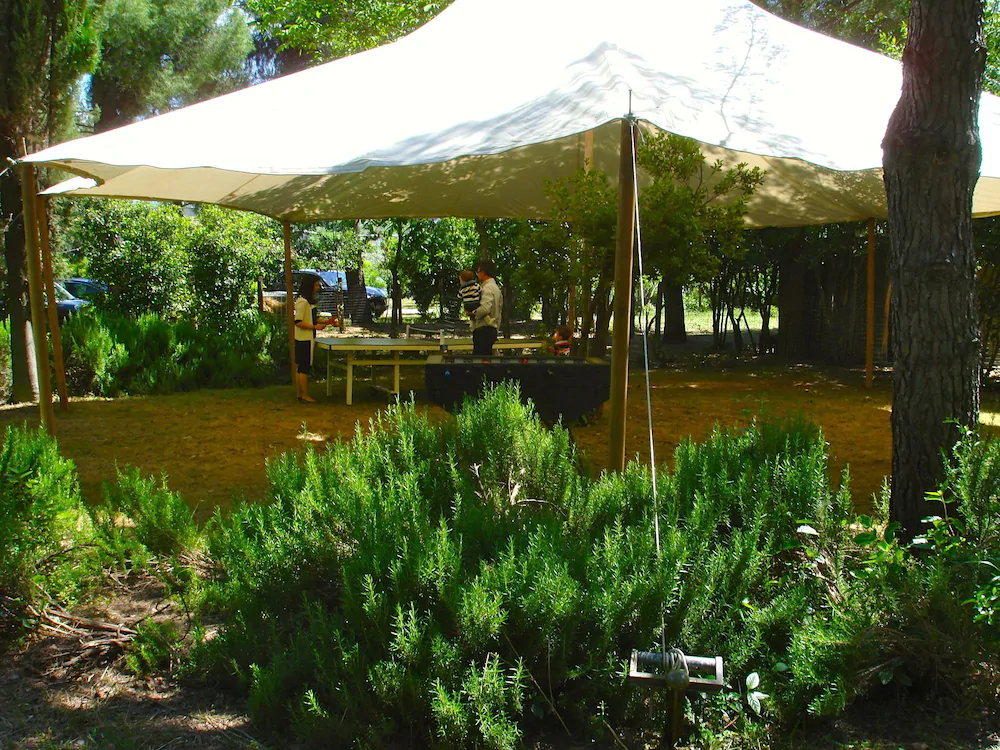 Azienda Agrituristica Madonna degli Angeli