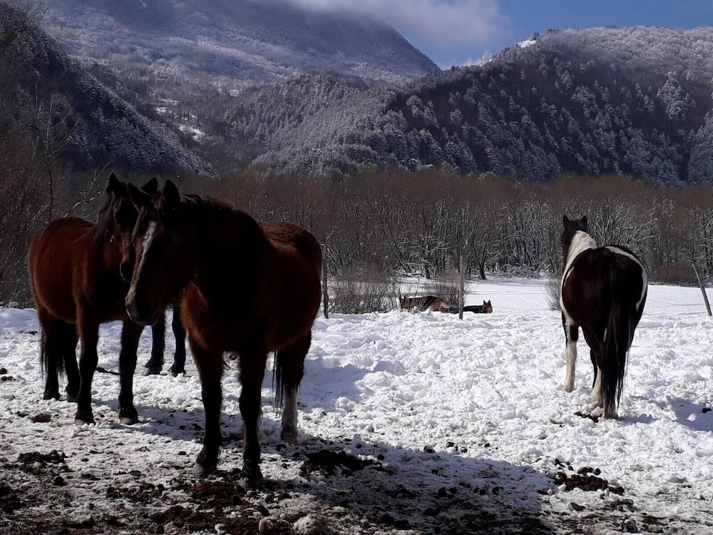Country Dreams