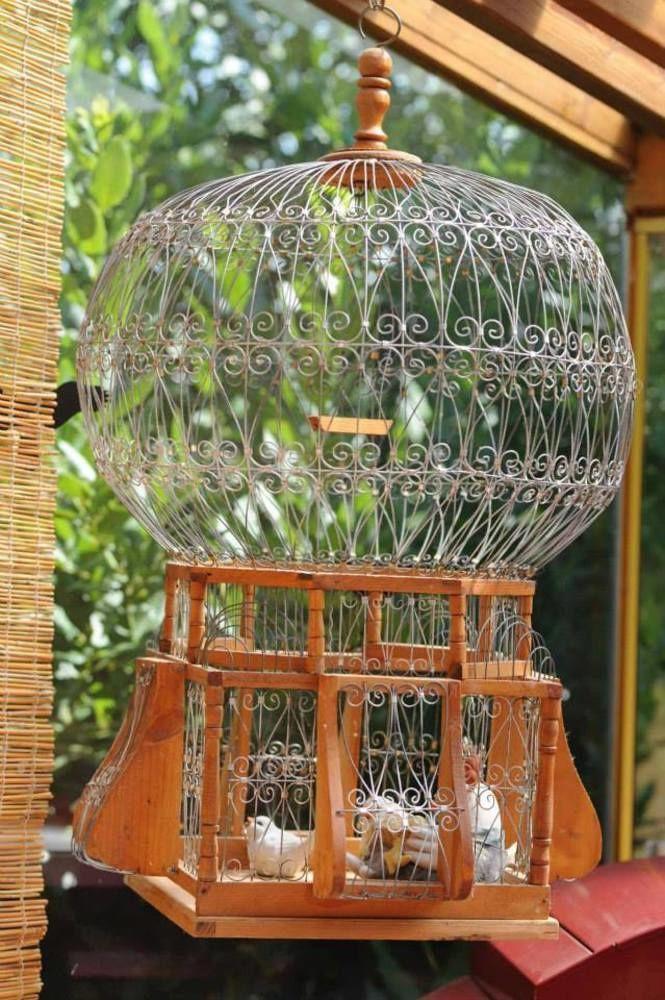 B&B Glicine