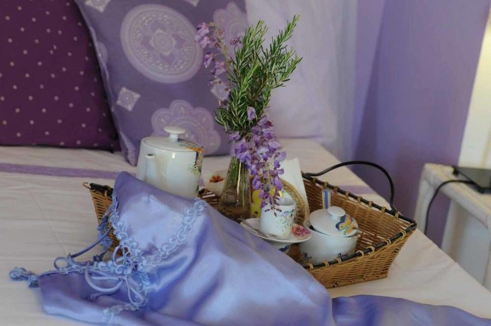 B&B Glicine