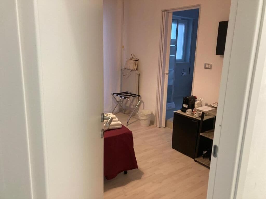 Gatto Bianco