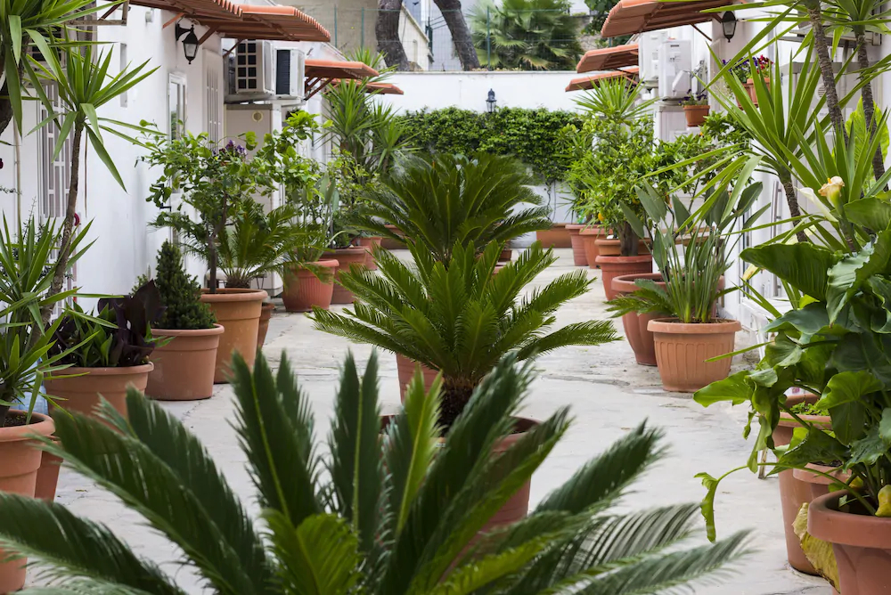 I Giardini Di Edicart