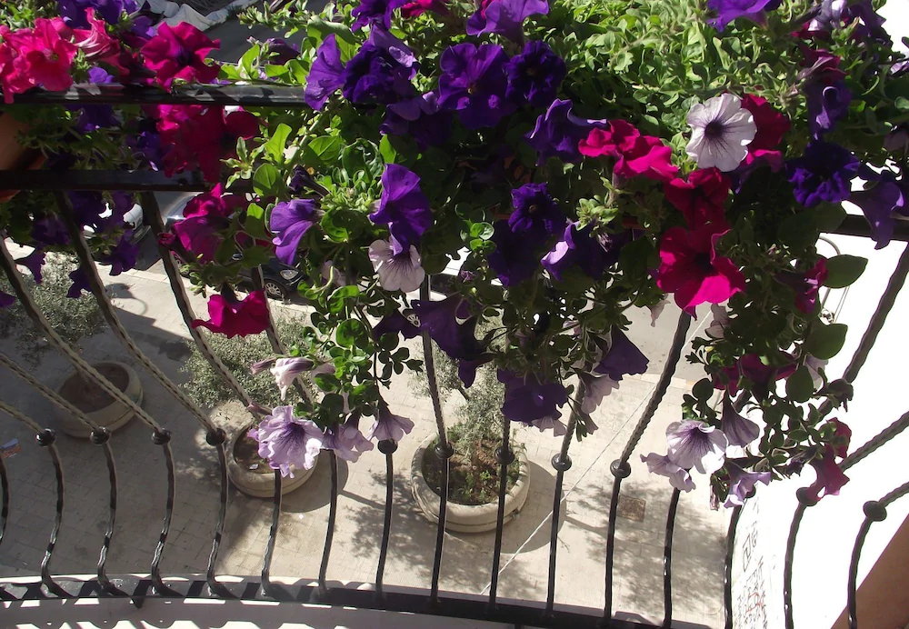 B&B Al Vecchio Borgo