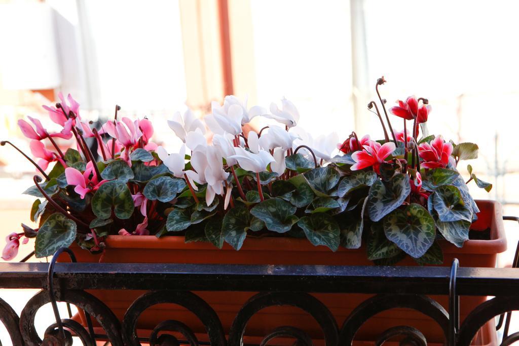 Bed Breakfast De Nittis