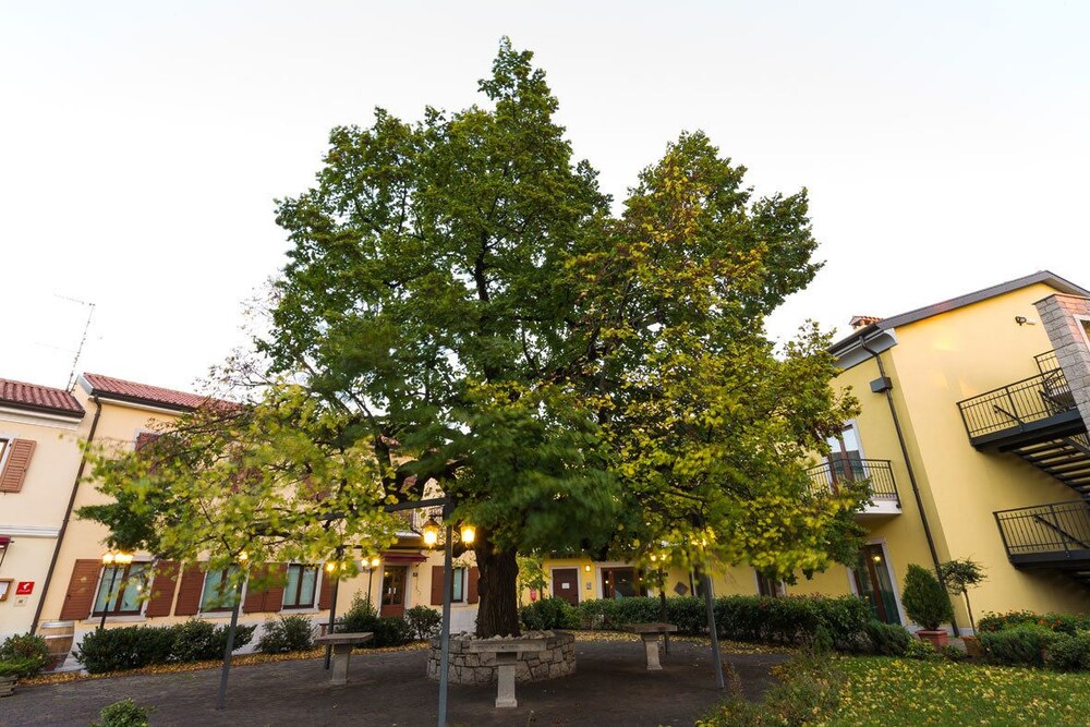 Dependance Center Hotel