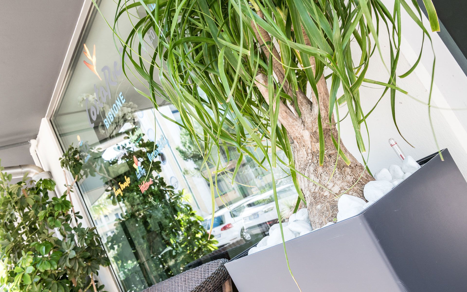 Bosco Canoro East Eco Resort