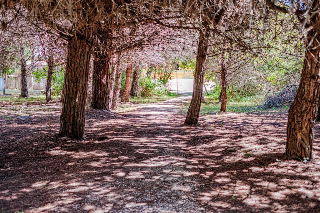 Bosco Canoro East Eco Resort