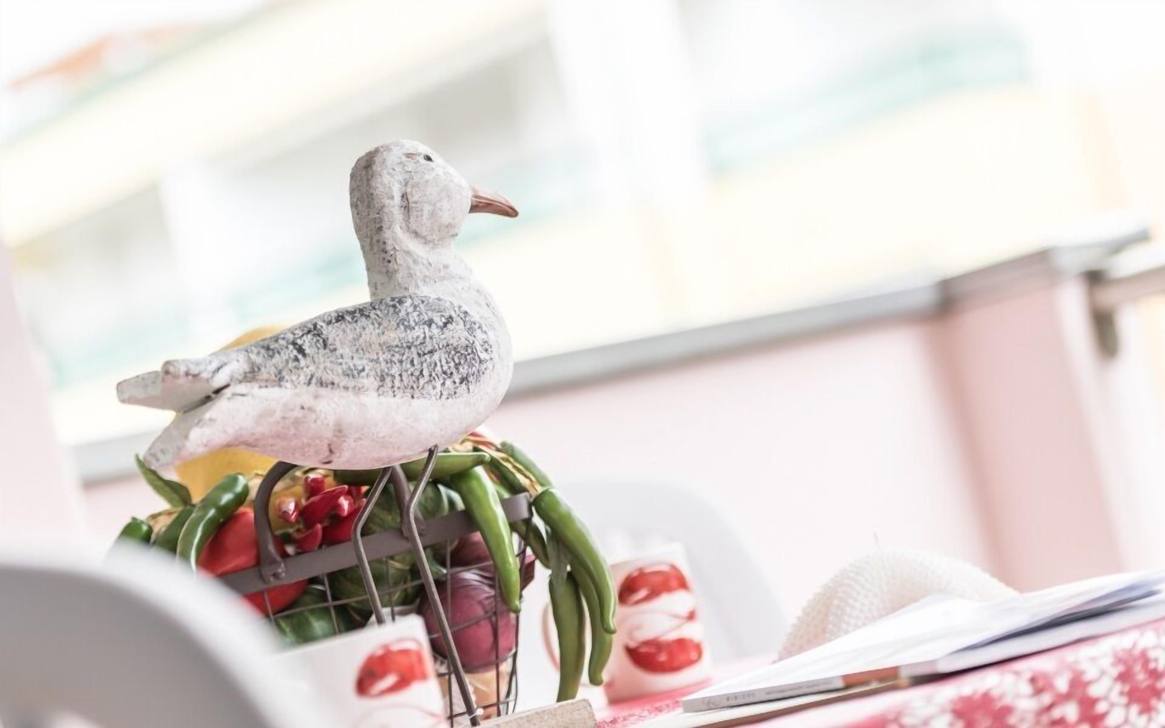 Bosco Canoro East Eco Resort