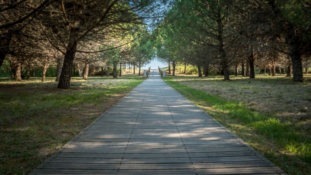 Bosco Canoro East Eco Resort