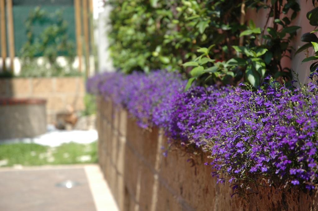 Residenza Glave