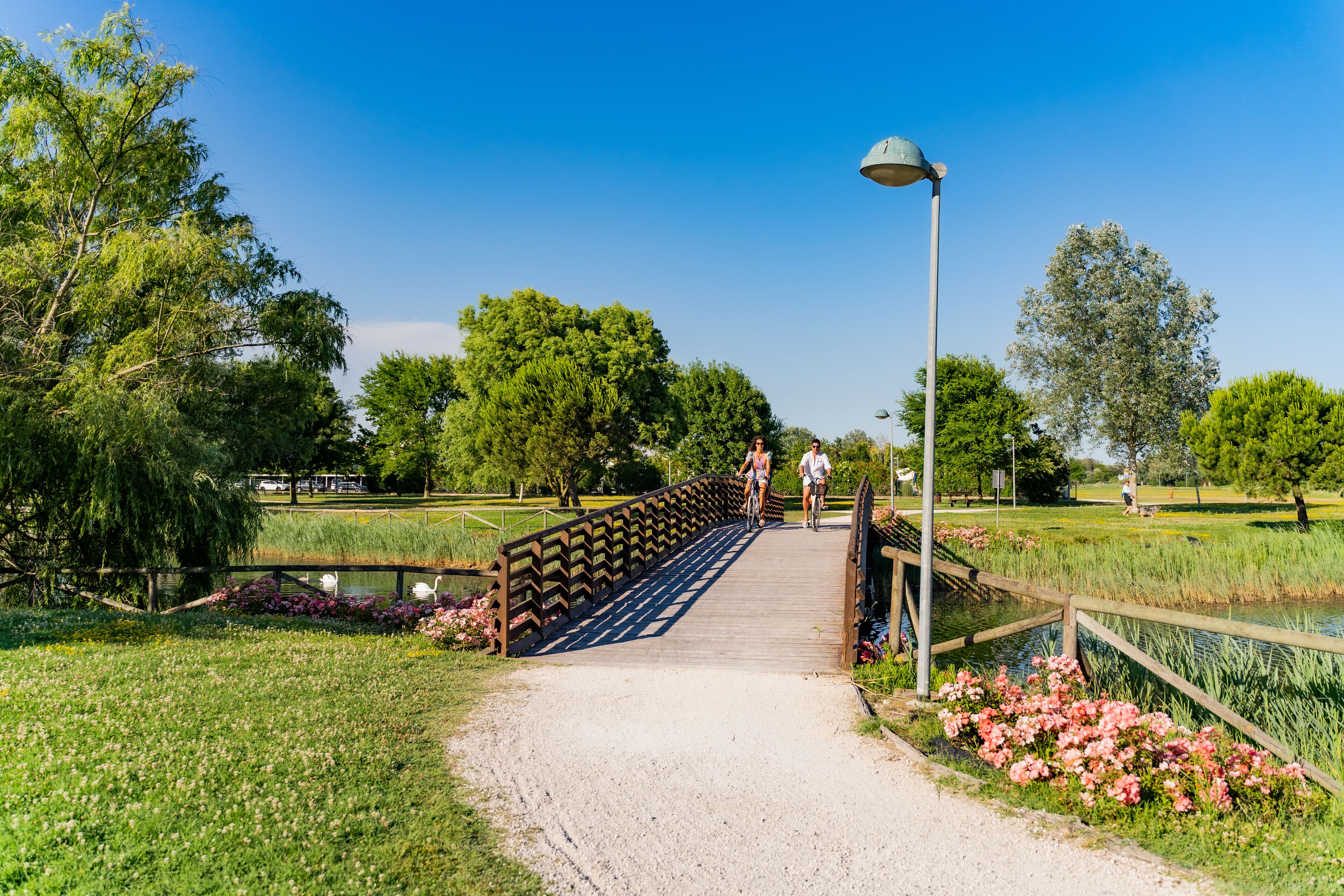 Villaggio Ai Pini Lido Altanea