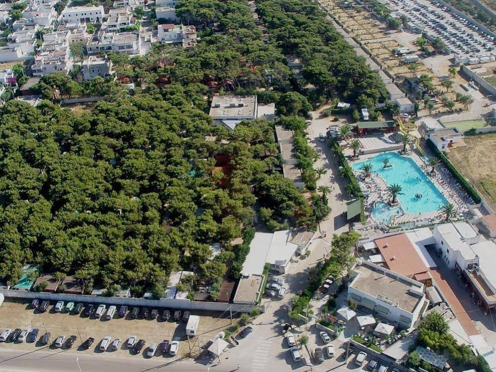Villaggio Camping Pineta al Mare