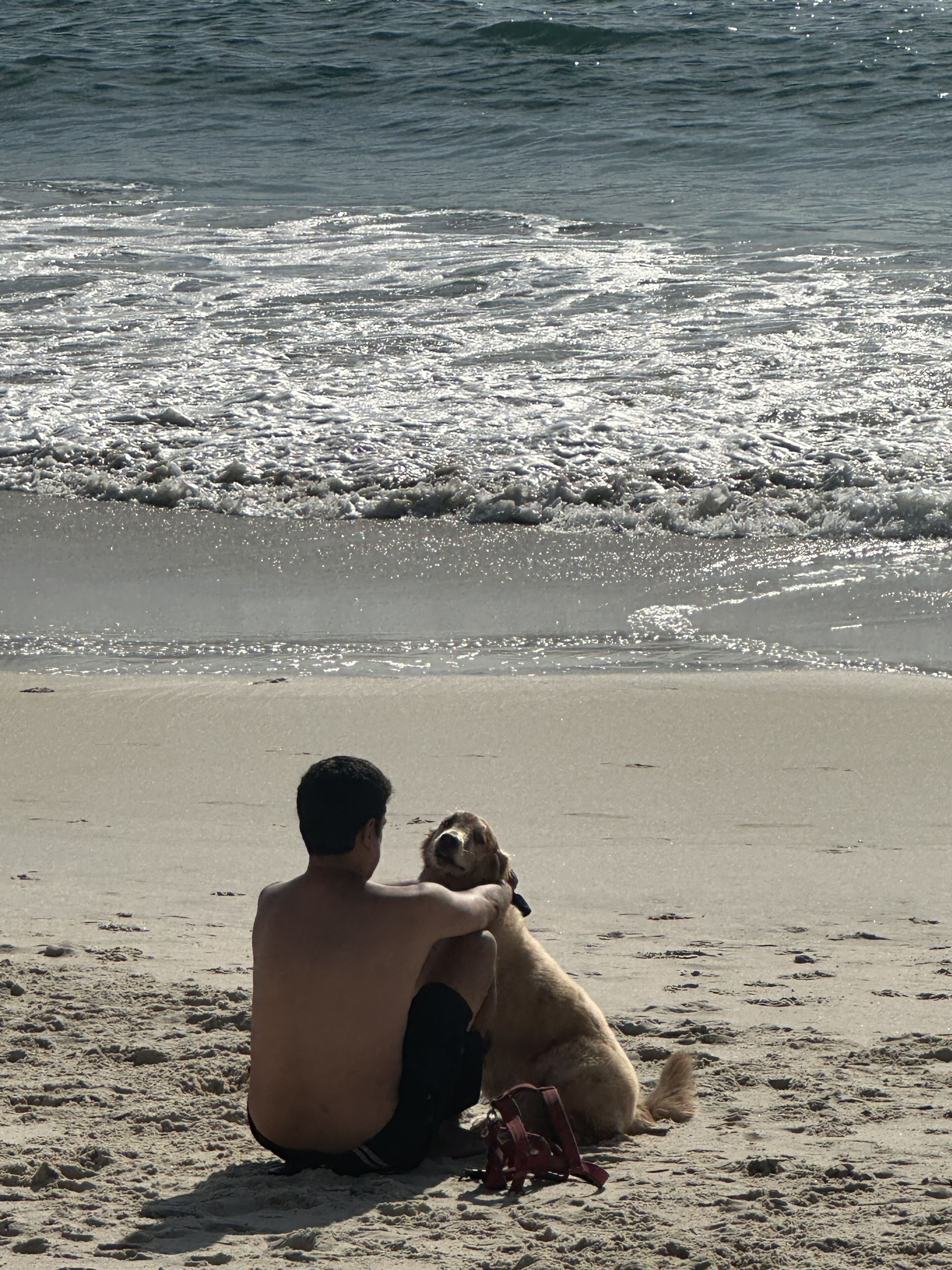 Marittimo Al Mare