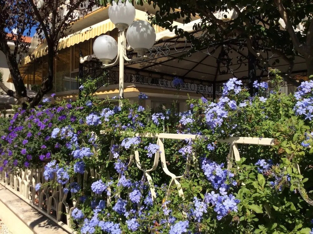 Hotel Donatello