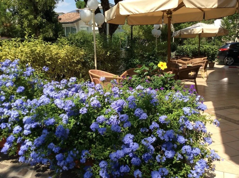 Hotel Donatello