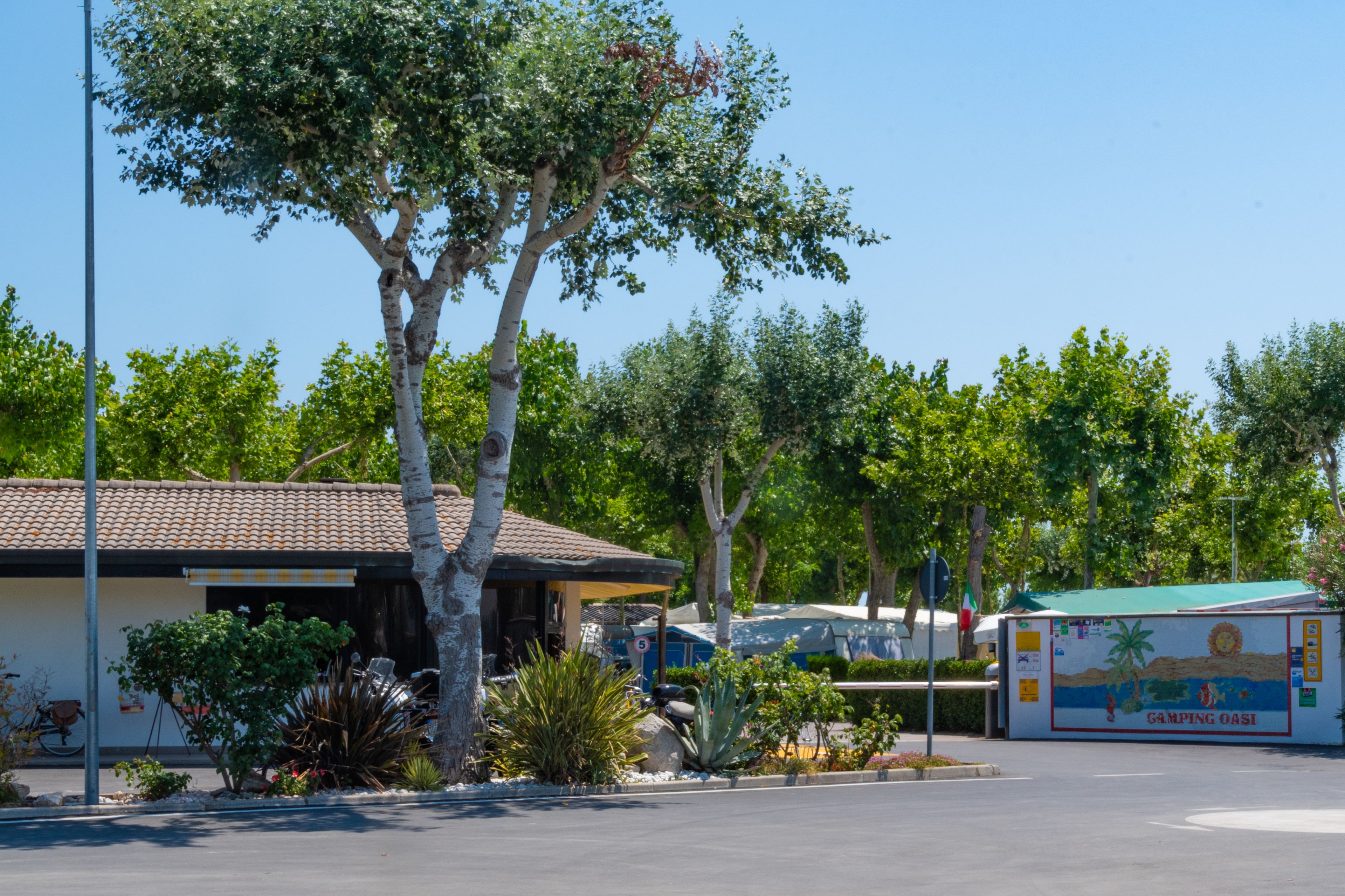 Camping Oasi
