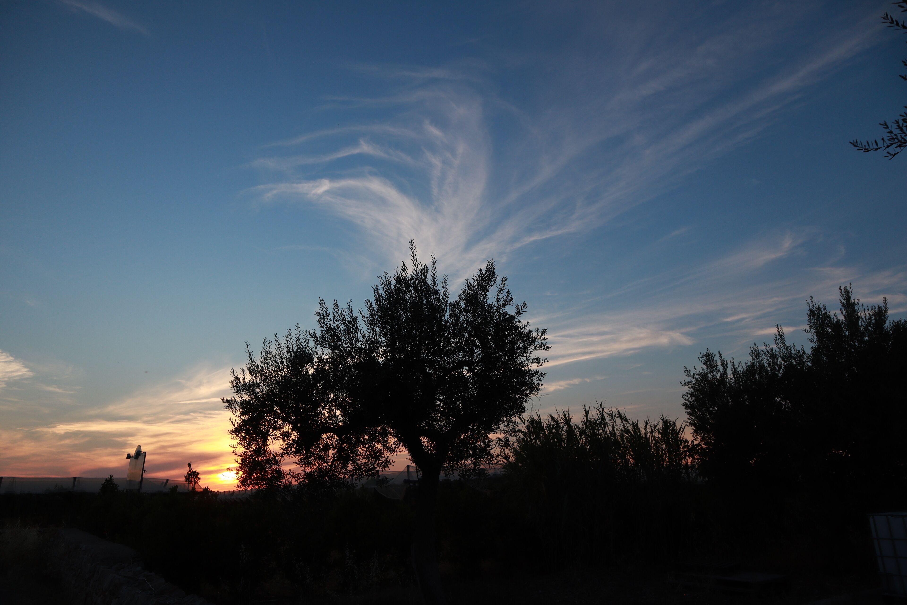 Masseria Alberotanza