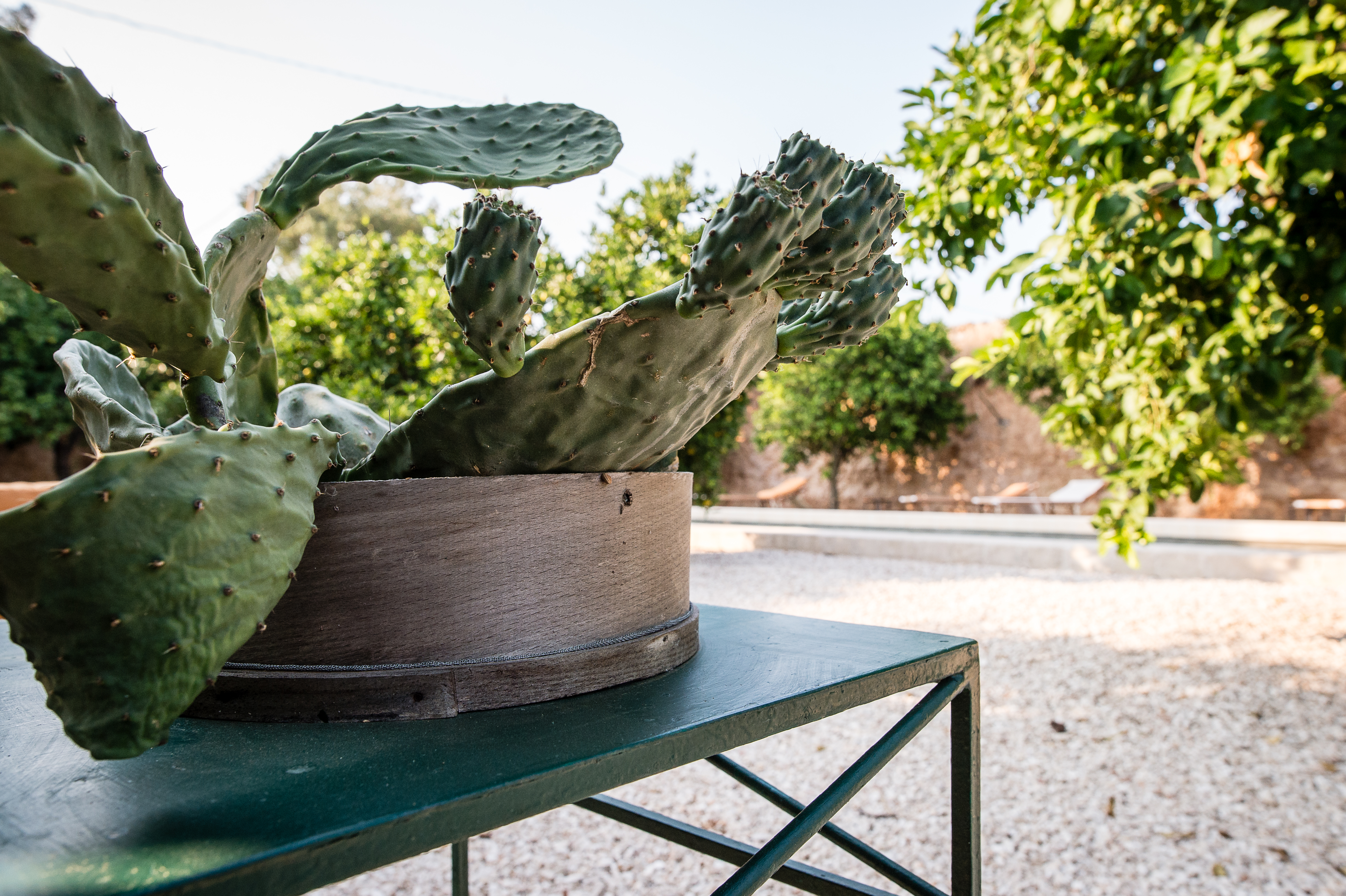Masseria Lama Di Coccaro