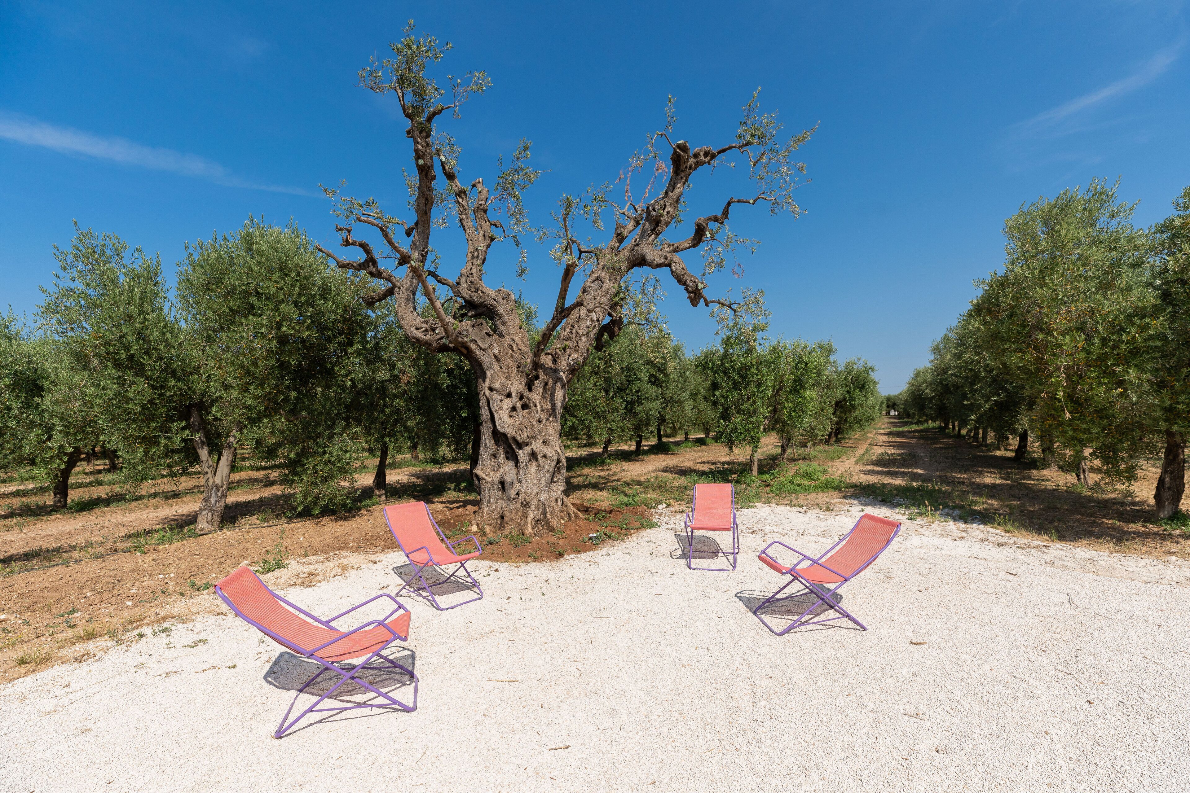 Masseria Pensato Suite Ulivo