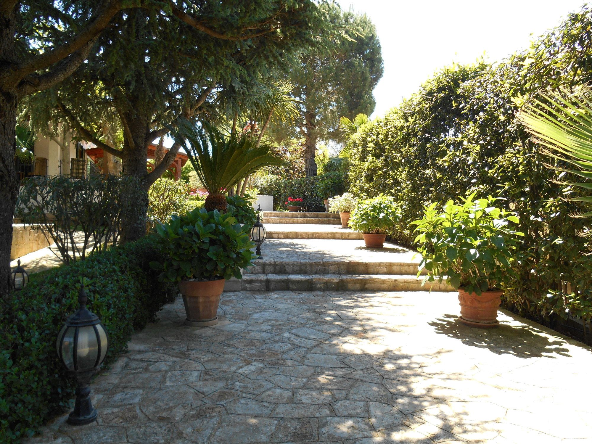 Villa Palmisani