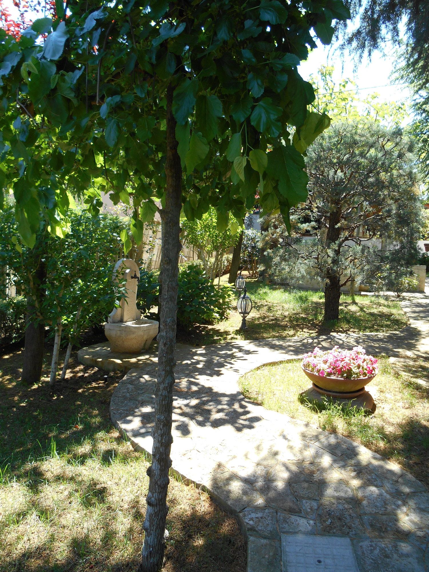 Villa Palmisani