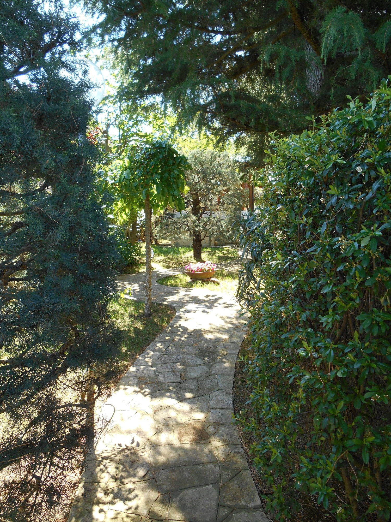 Villa Palmisani