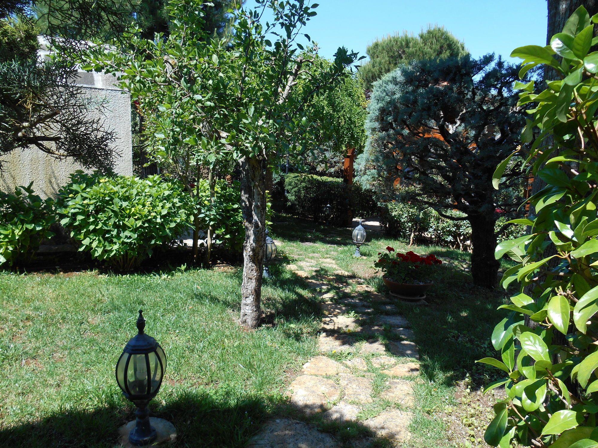 Villa Palmisani