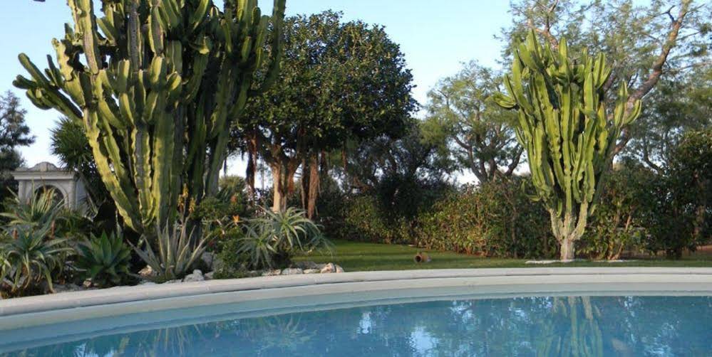Villa Tonia