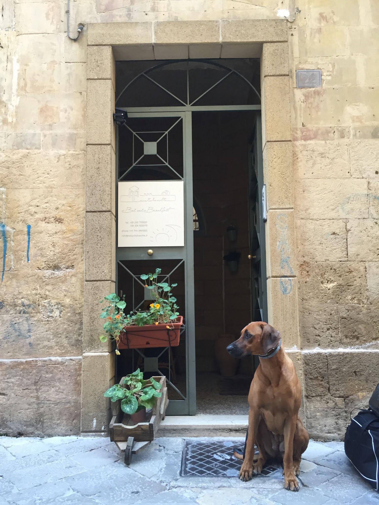 Antiche Volte