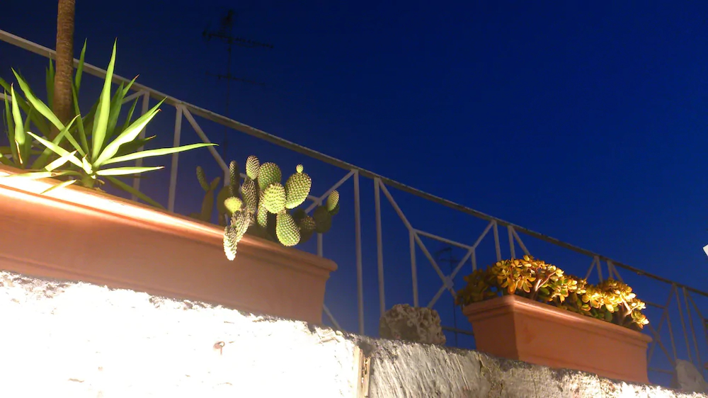 Centro Storico B&B