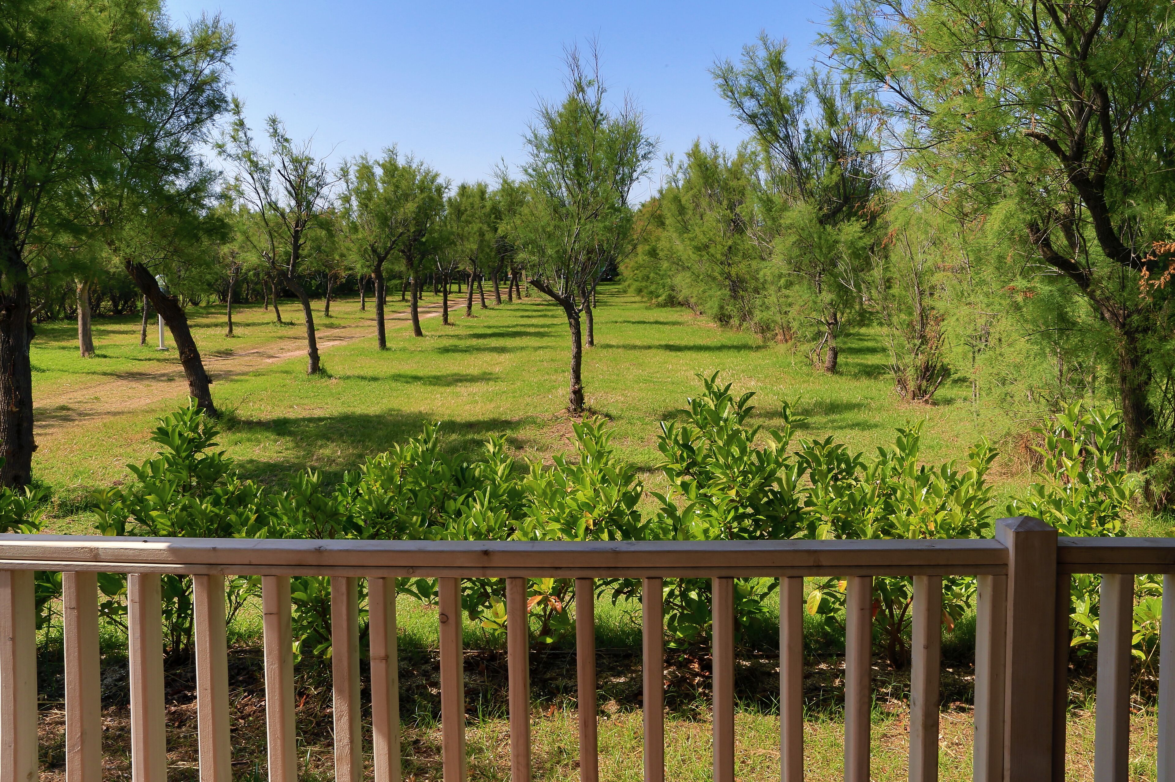 Torre Rinalda Beach Camping & Resort by Happy Camp