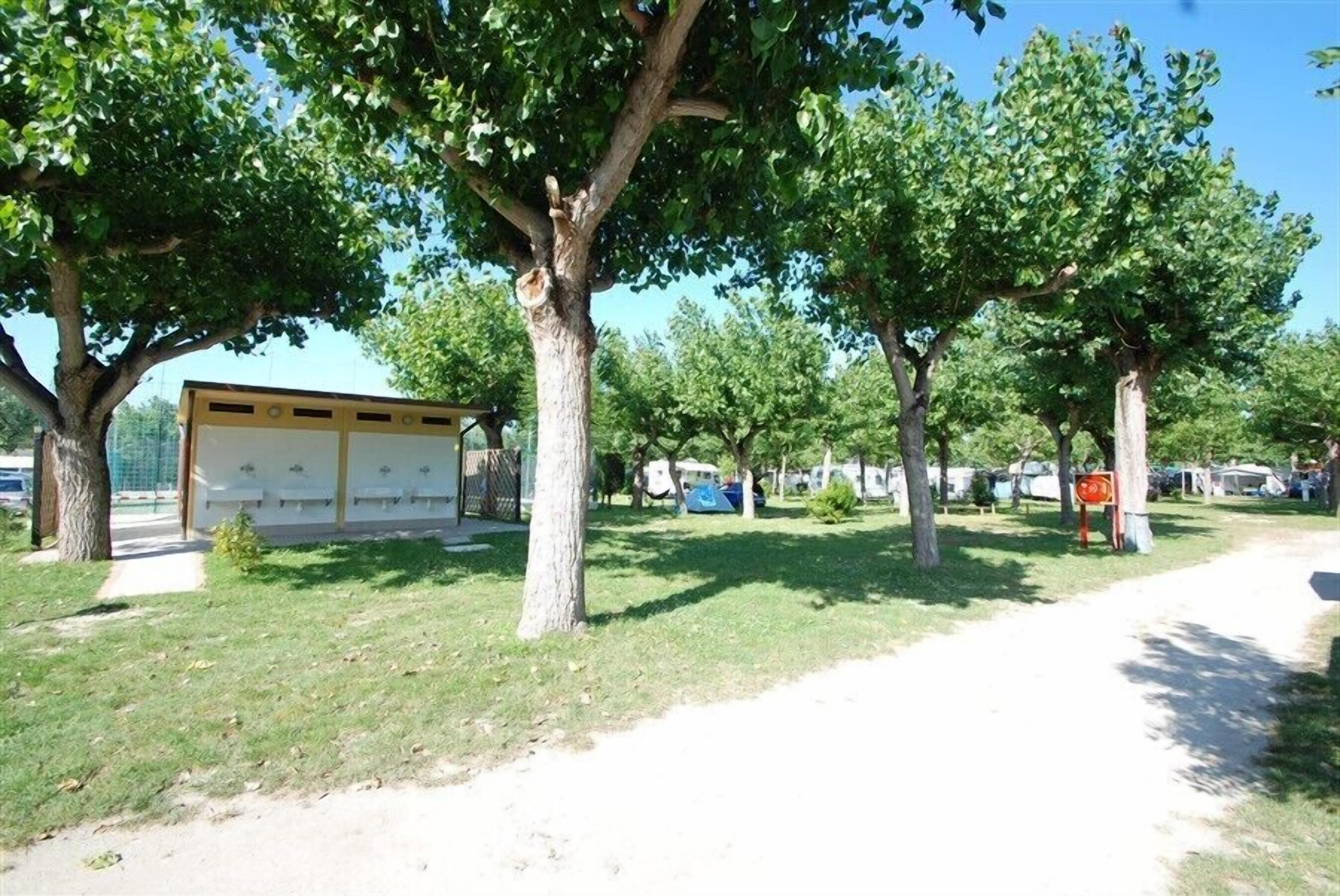 Camping Classe