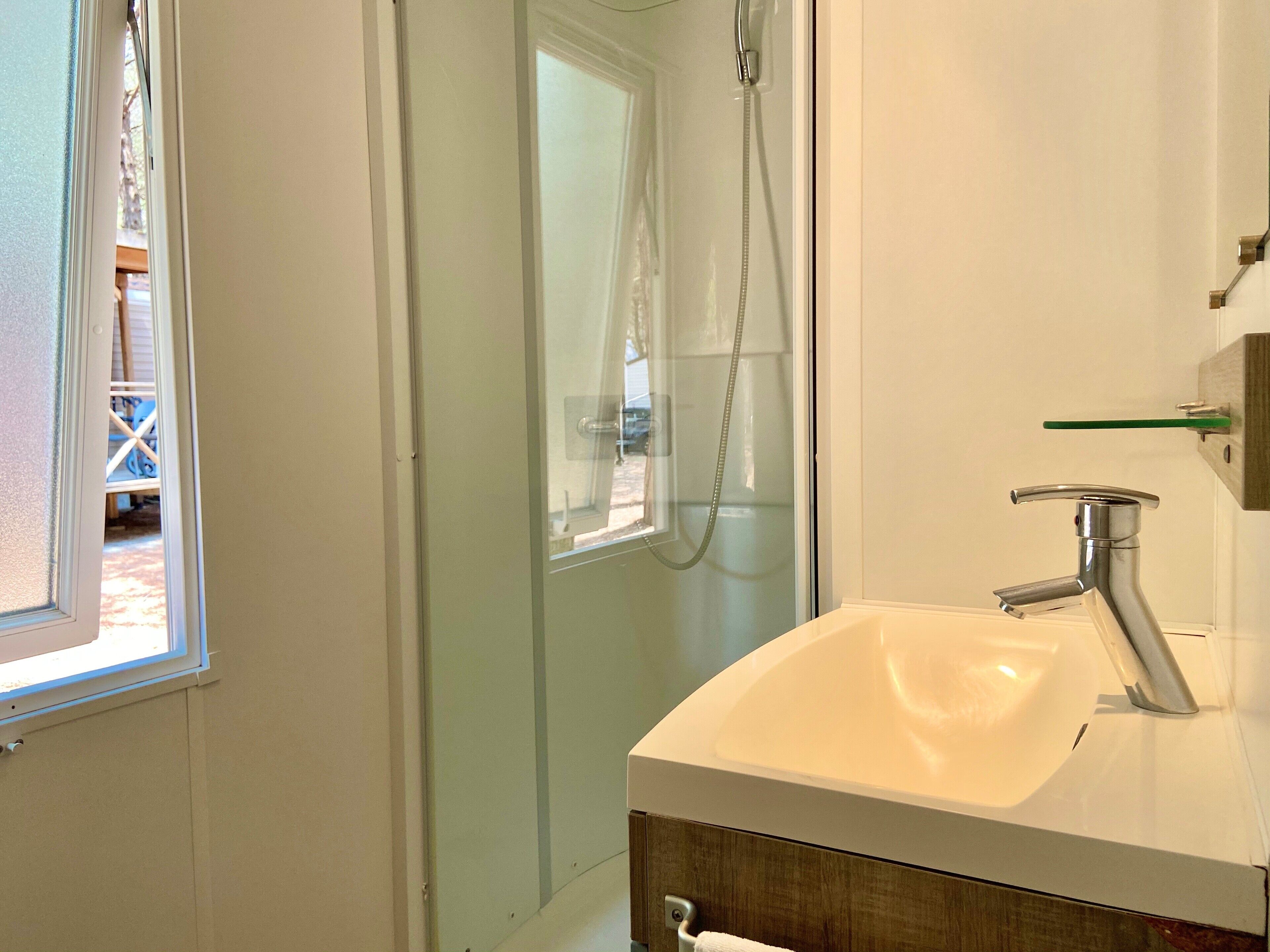 Spina Family Collection