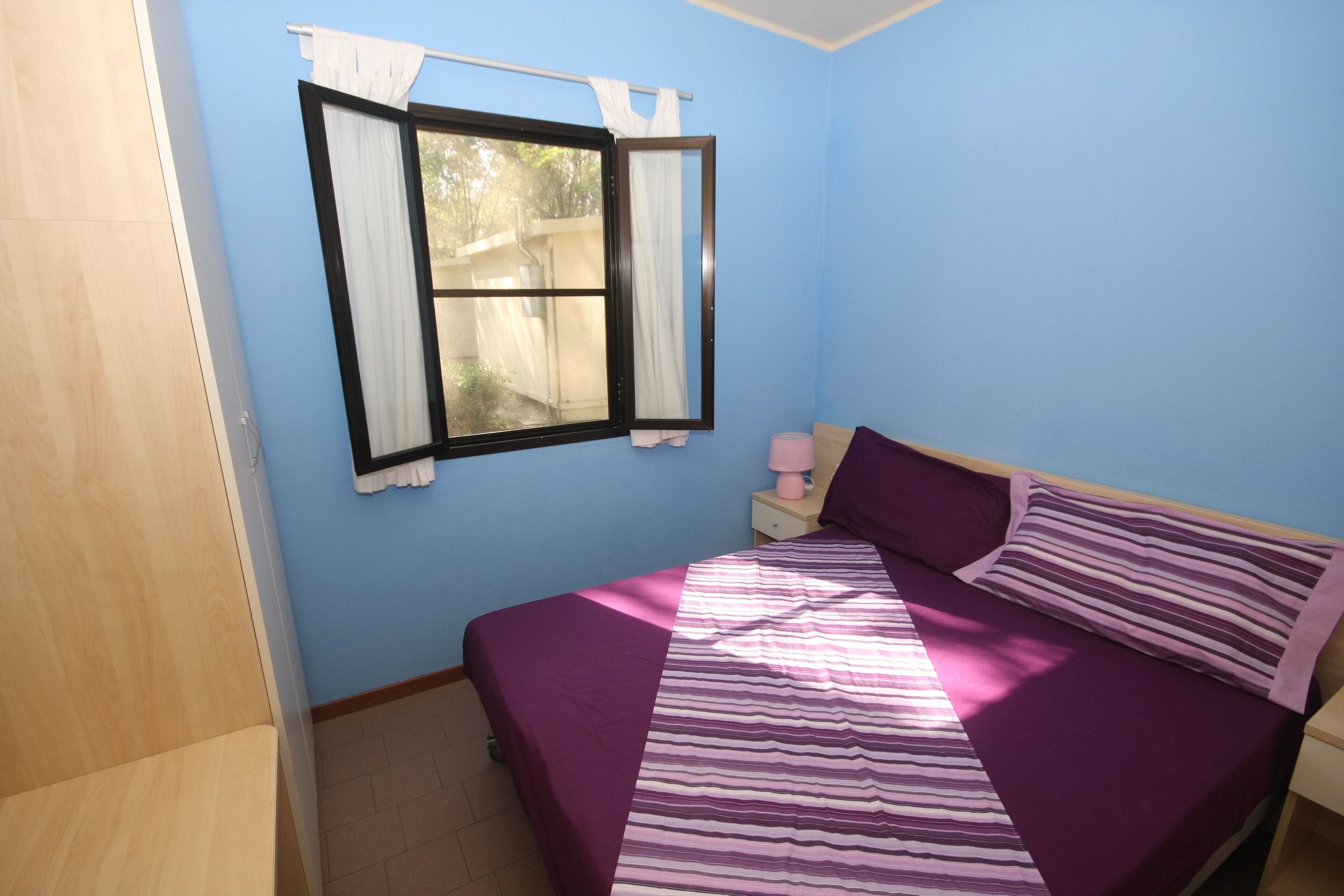 Spina Family Collection