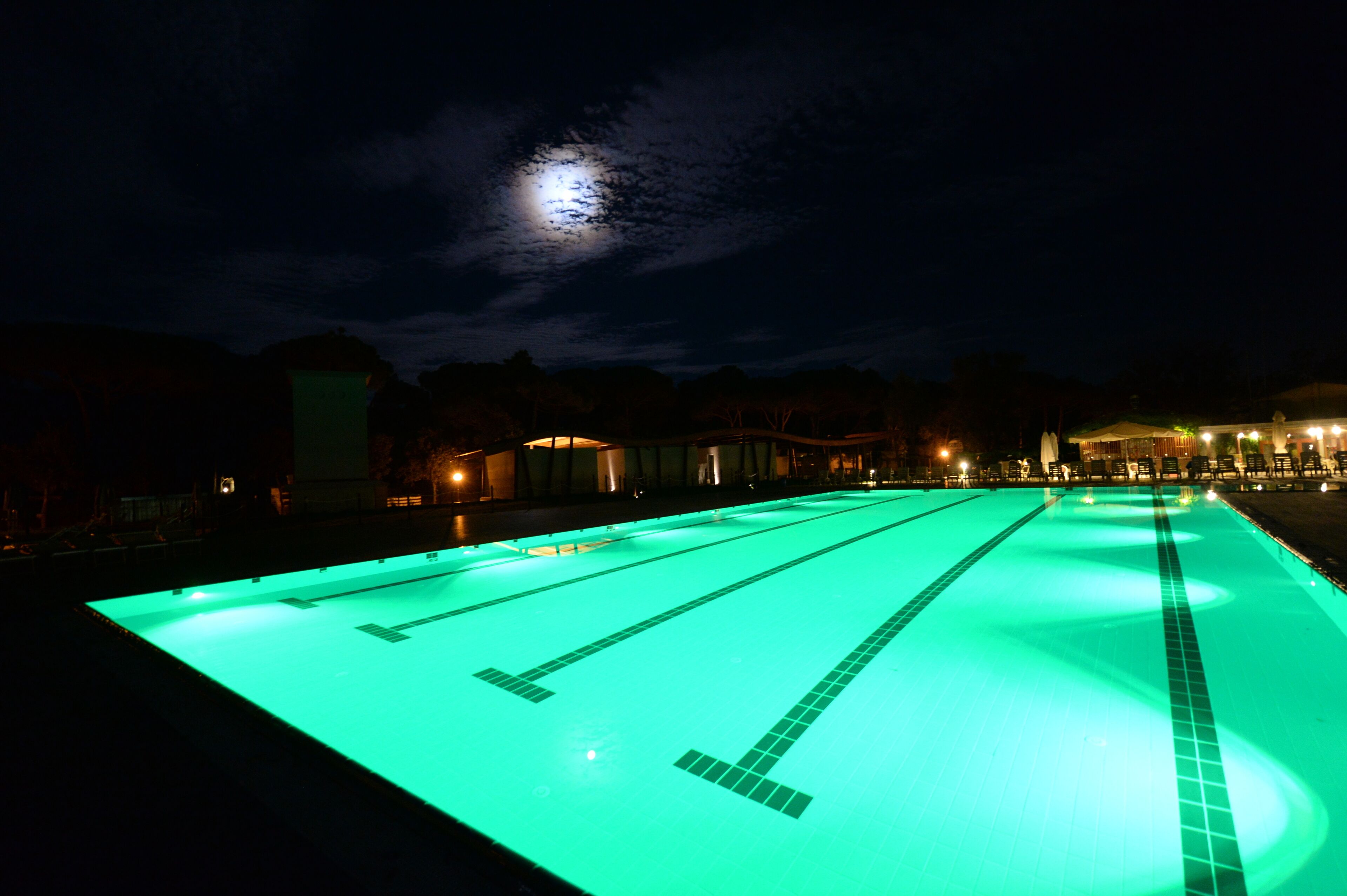 Spina Family Collection