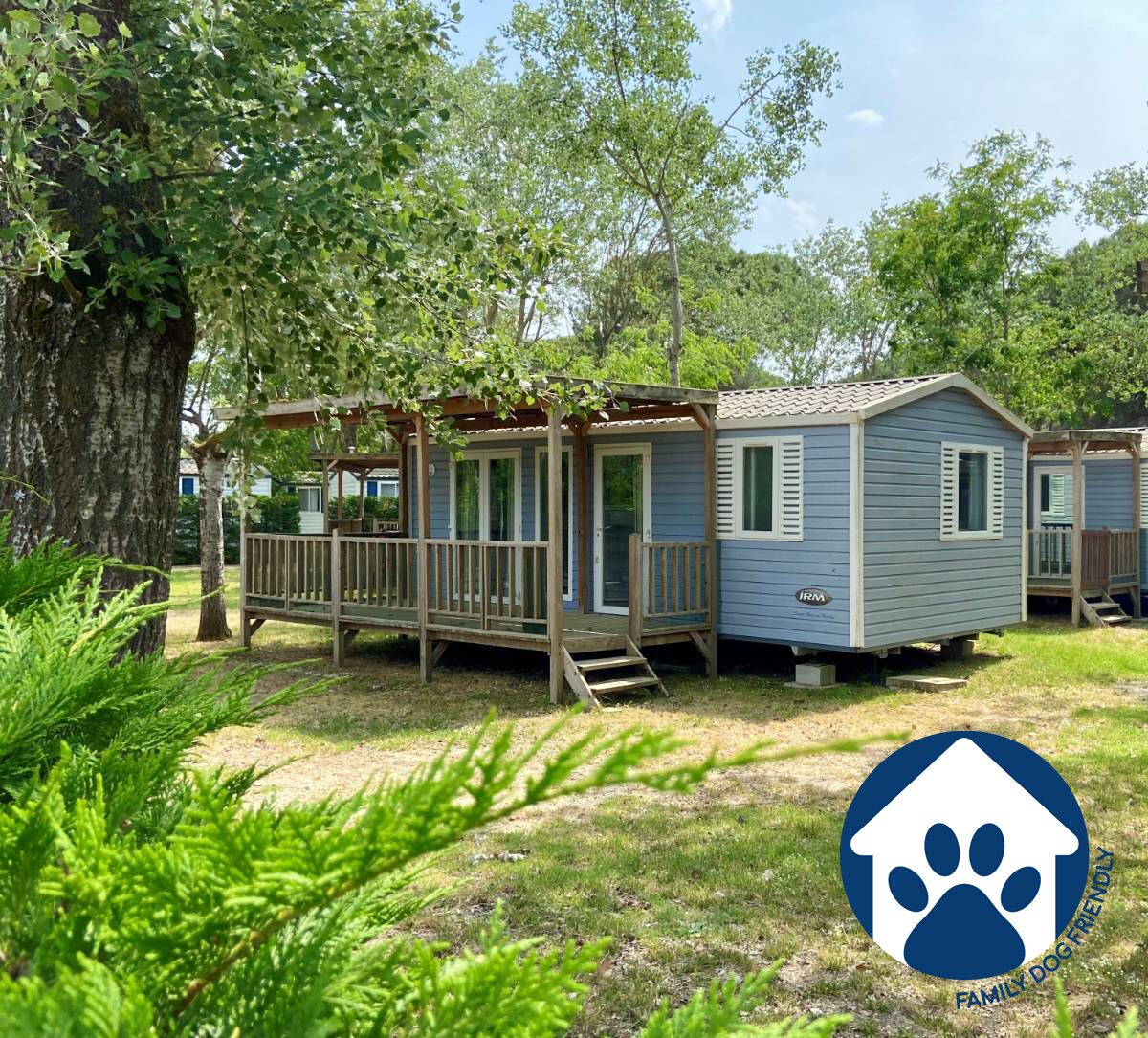 Spina Family Collection