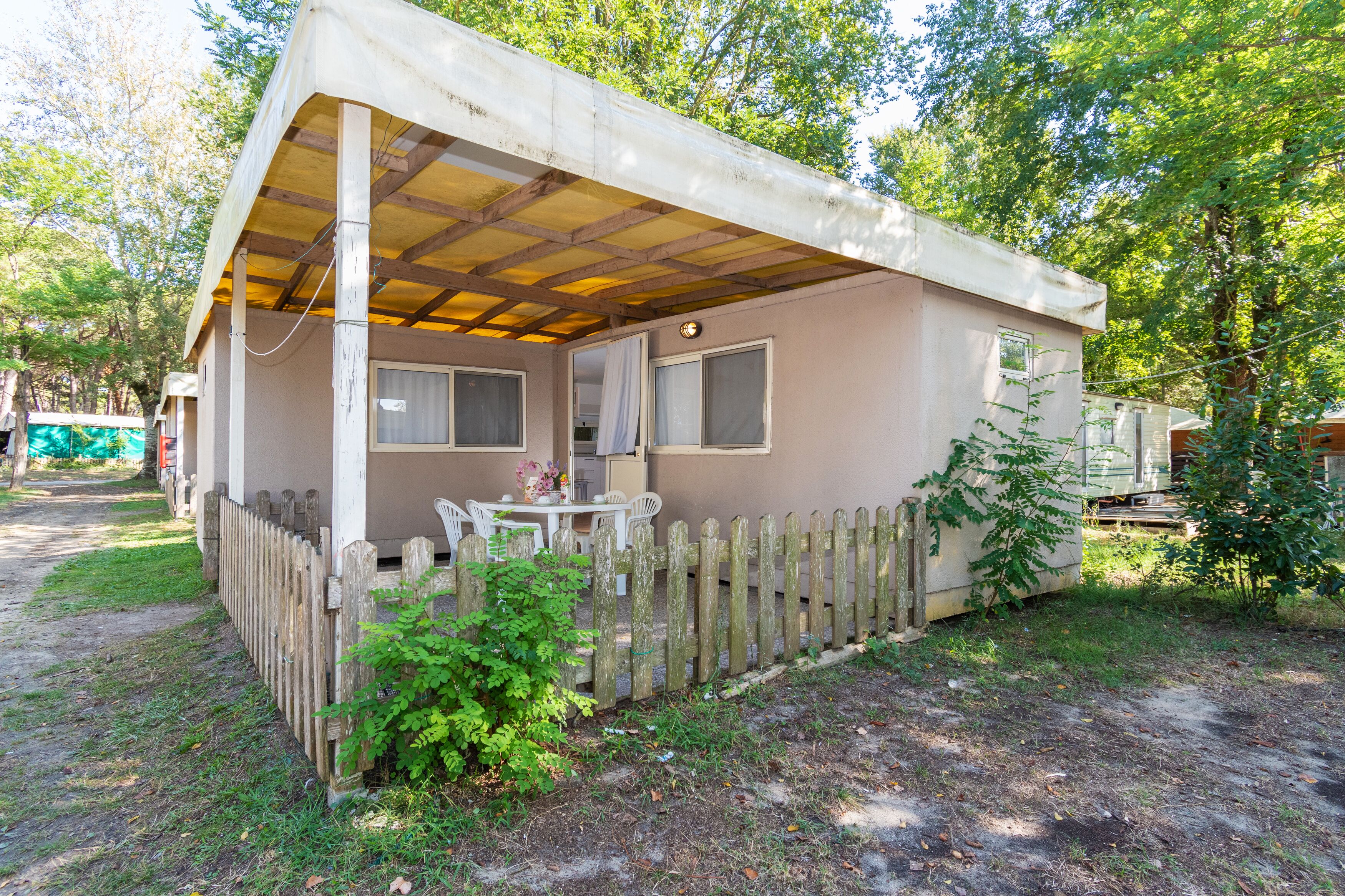 Spina Family Collection