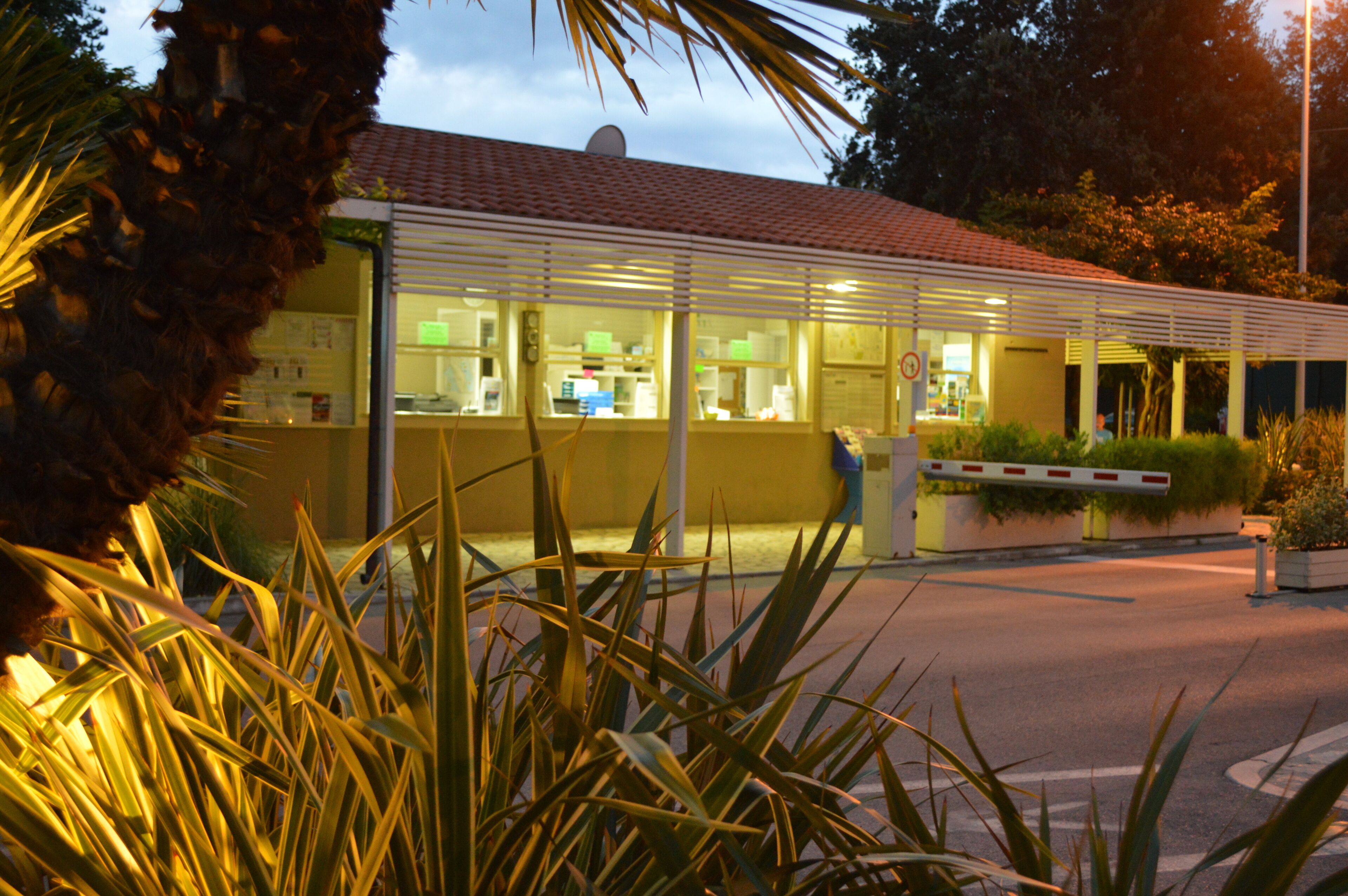 Vigna Sul Mar Camping Village