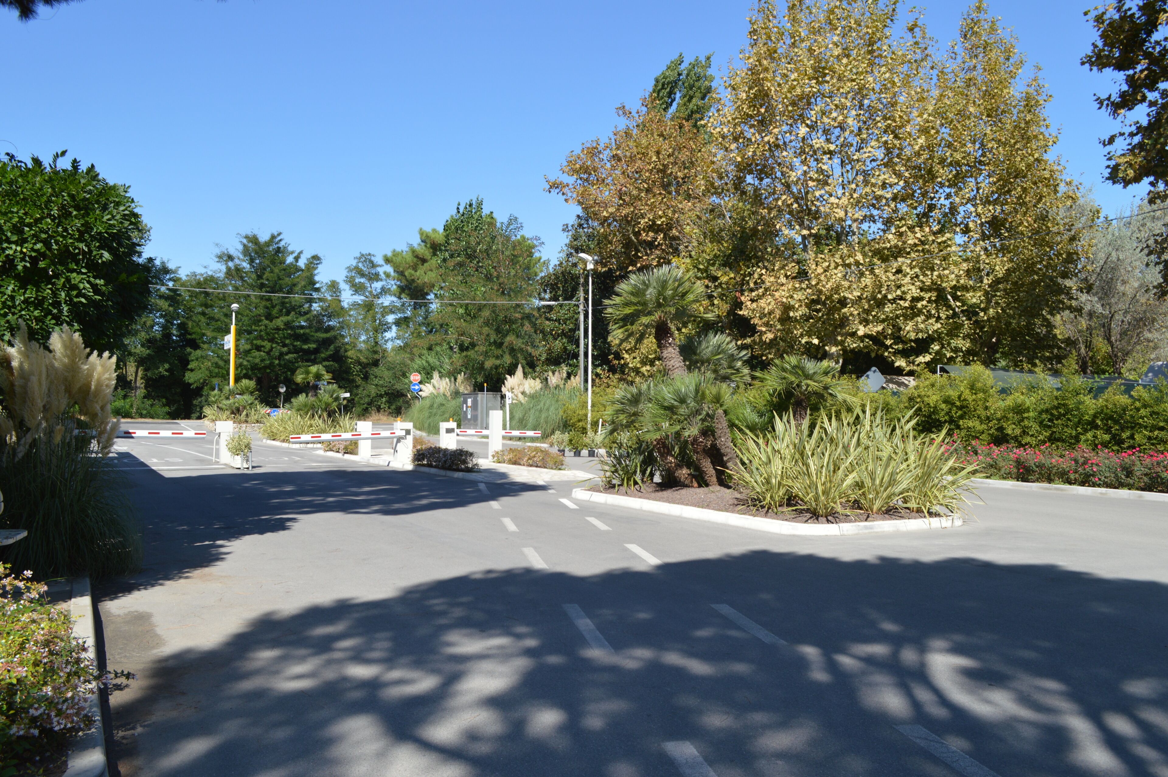 Vigna Sul Mar Camping Village