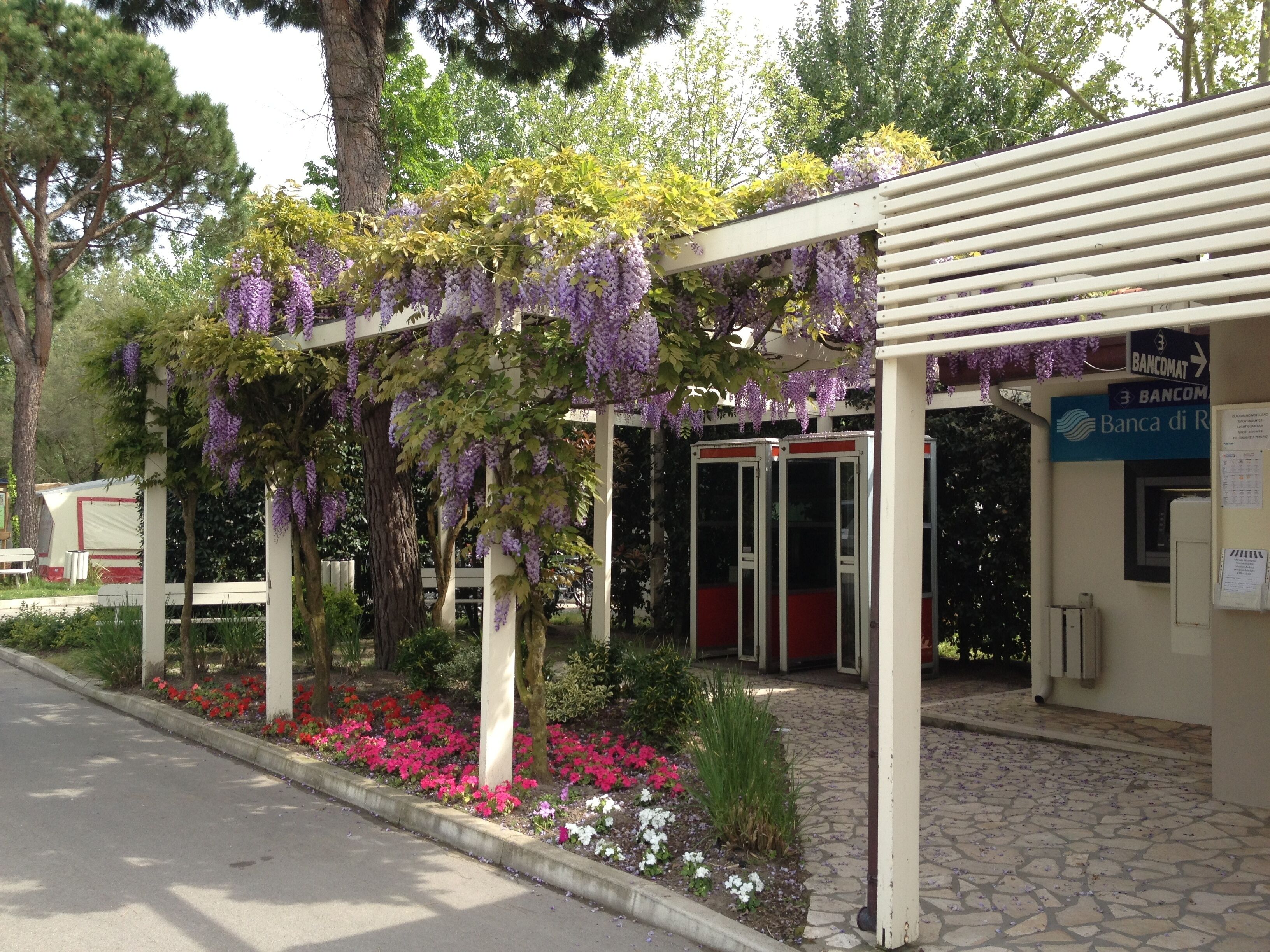 Vigna Sul Mar Camping Village