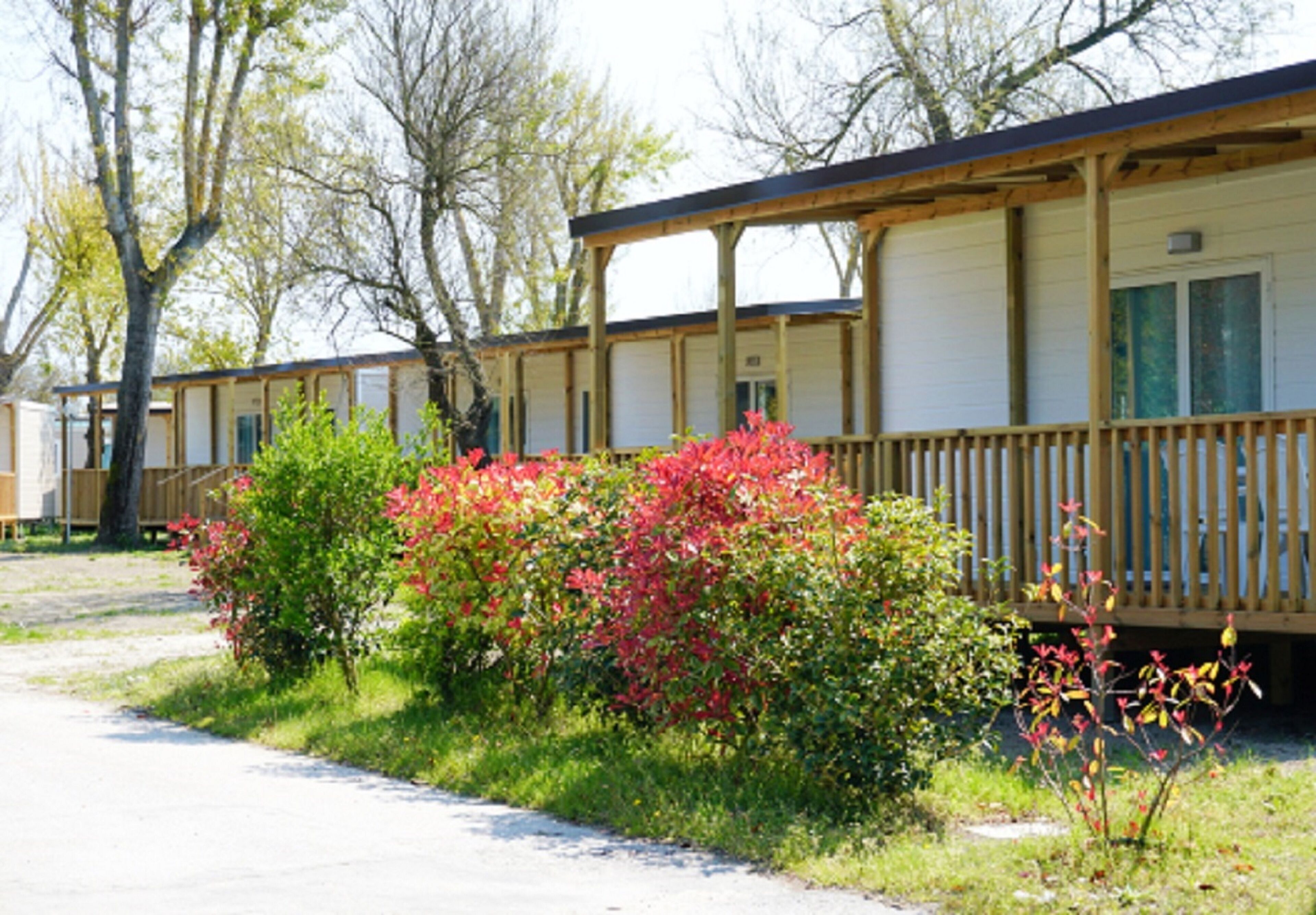Vigna Sul Mar Camping Village