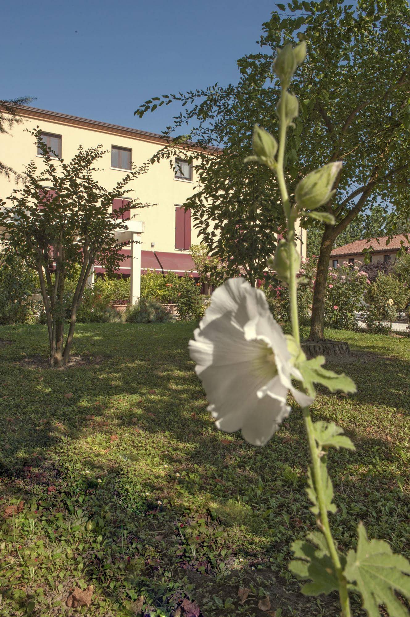 Villa Belfiore