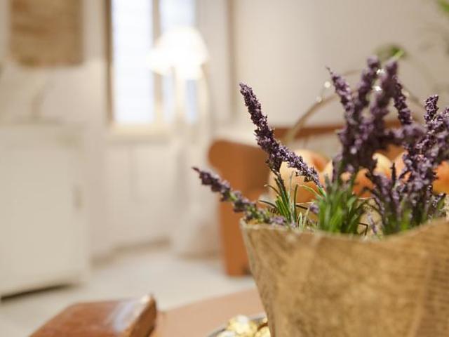 Lavanda Bed & Breakfast