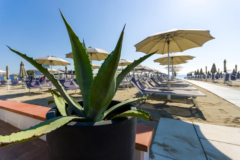 Color Metropolitan Beach Hotel Mi.Ma